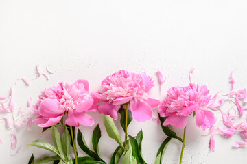 Bouquet of beautiful pink peony flowers on white background. Copy space. View from above. Festive greeting card with peony for weddings, happy women's day and Mothers day.