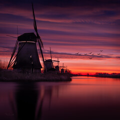 Kinderdijk Nederland holland  © Bakinett