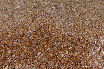 Texture background of the sand near the water on the beach