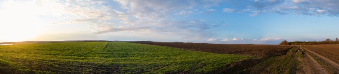 green field with road on a background of blue sky, panorama of fields and grass on a sunny spring day