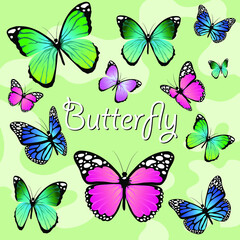 Fototapeta na wymiar Butterflies on a green background. Swallowtail. The butterfly folded its wings. Blue butterfly, green, pink, and purple butterfly. Beautiful butterflies.