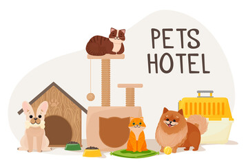 Cats on the couch and dogs near the carrier and the house. Food and entertainment for animals. Vector illustration isolated on white background