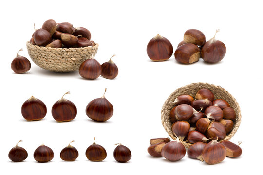 Beautiful Set of fresh raw sweet chestnuts(Castanea sativa) isolated on a white background