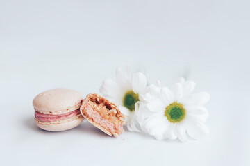 Two pink macaroons, one whole and the other broken in half. Next to the macaroons are two white buds against a white background