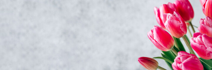 Fresh tulip flowers on a gray concrete background. Bright spring background. Copy space for text.