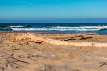 beach and sea