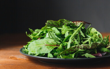 Fresh green salad with spinach,arugula,romaine and lettuce in plate