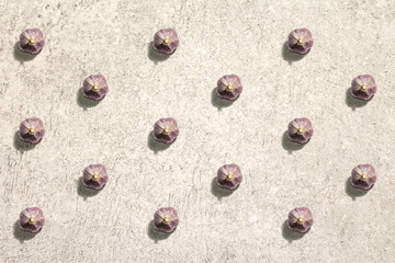 The whole unpeeled garlic head pattern on grey stone background