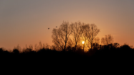 sunset in the field