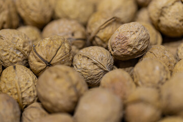 close up of a hard shelled brown wallnuts 