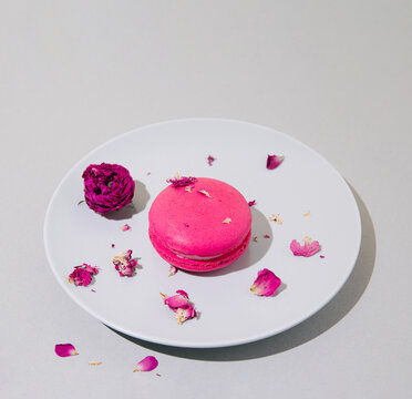 Rose flavour macaroon on a plate on grey pastel background.
