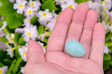 Cracked bird's blue egg in a woman's palm. It fell out of the nest.