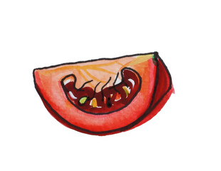 Illustration, hand illustration, watercolor, wasserfarben, wasserfarben illus, tomate, viertel tomate