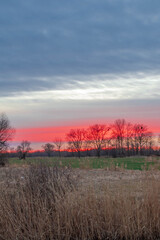 sunset over the field