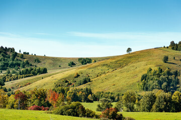 Beautiful autumn landscape. Green hills with trees