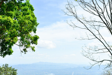 Is one of the attractions of the most famous of Thailand. Each year there are tens of thousands of...