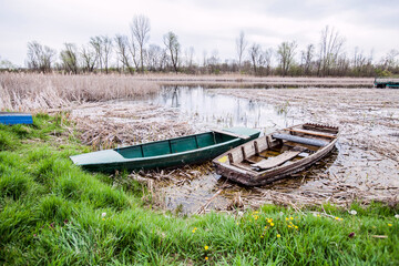 Old rowing wooden boats at lake. Beautiful nature landscape. Nature reserve.  Spring day
