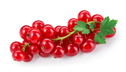 Red currant isolated. Currant red on white background. Currants on branch. with leaves. Top view. Clipping path.