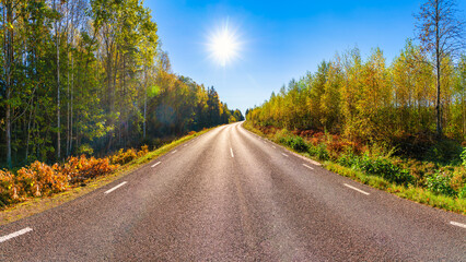 Fototapeta premium Panorama of Road in the autumnal forest with morning sun flare