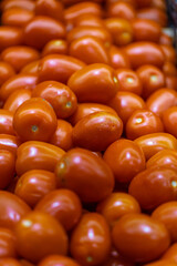 closeup of red tomatoes vegetable