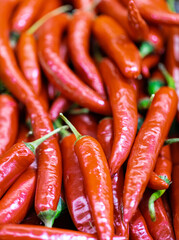 closeup of red & Green chilli 