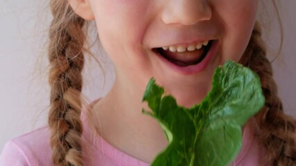 Little girl with fresh spinach in hand white background. Child eats natural raw clean food. Leaf vegetables vitamin Organic vegetarian meal superfood, nutritious smoothie salad vegan healthy lifestyle