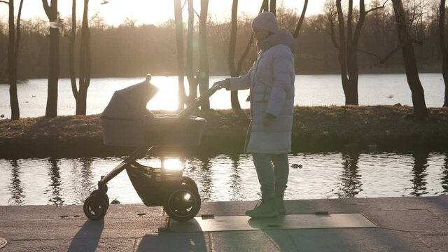 Mother with baby stroller on walk in the park by pond in the evening, mom pushing baby carriage in Catherine Park, Tsarskoye Selo, Pushkin, Saint Petersburg. High quality 4k footage