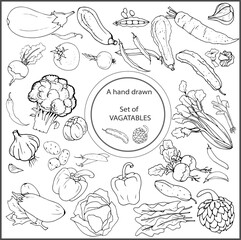 set of drawn vegetables, vector set of vegetables, vegetable sketches