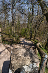 Fototapeta premium Waldweg