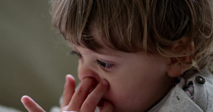 Baby toddler nose picking. Child boy picks nose