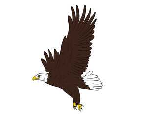 Cartoon flying wild eagle in isolate on a white background. Vector illustration.
