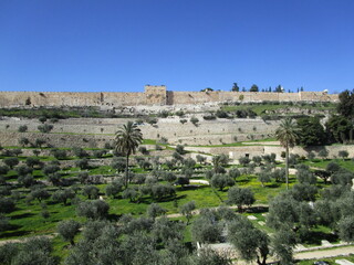 Fototapeta na wymiar The wall of Jerusalem