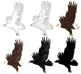 Obraz premium Set of Cartoon flying wild eagle in isolate on a white background. Vector illustration.