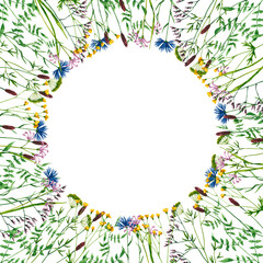 Round frame with watercolor wildflowers. Hand drawn illustration is isolated on white. Flowers circle is perfect for natural design, greeting card, wedding invitation, floral logo, poster