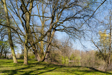 Frühling in Hermann-Löns-Park Hannover