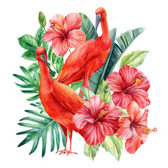Tropical palm leaves, hibiscus flowers and ibis birds on an isolated background. Watercolor illustration, postcard