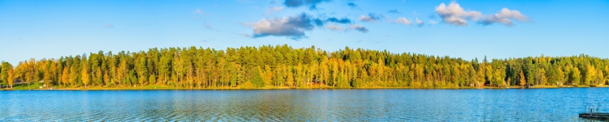 Autumn forest near the lake on sunny day 