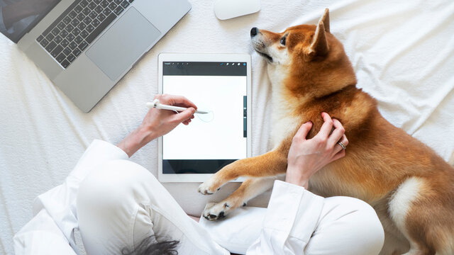 Woman is working and drawing near computer with a shiba inu dog pet. Top view adorable photo.
