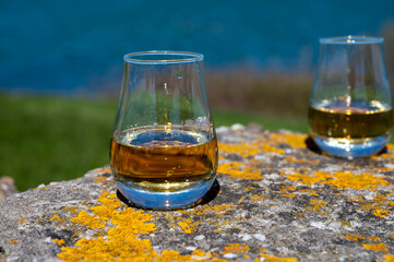 Tasting of single malt Scotch whisky with blue sea, ocean or river view, private whisky tours in Scotland, UK