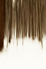 Obraz premium Snow and Trees