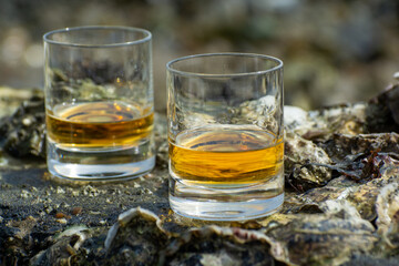 Tasting of single malt or blended Scotch whisky and seabed at low tide with algae, stones and oysters on background, private whisky tours in Scotland, UK