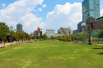 大阪・天王寺公園の芝生広場