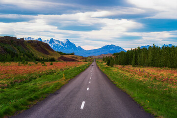 Naklejka premium Road going through the scenic summer landscape of Iceland