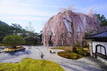 Naklejka premium Japanese garden at Kodaiji Temple, Kyoto City, Kyoto Pref., Japan 