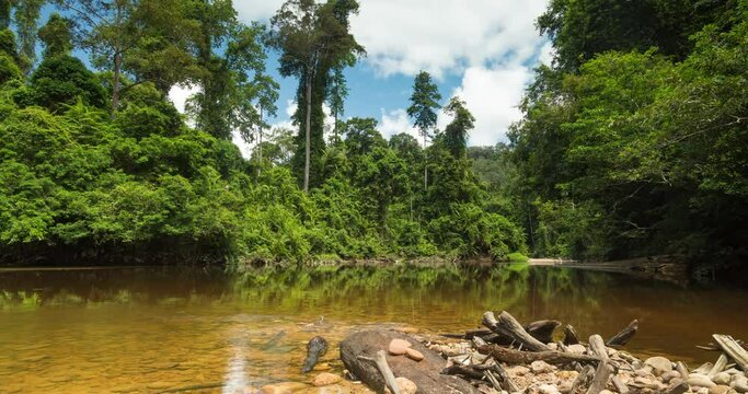 Landscape timelapse of the Tembeling River and surrounding jungle, from the water's edge, in Malaysia National Park, also known as Taman Negara Malaysia, the oldest tropical rainforest in the world.