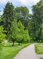 Fototapeta na wymiar Paved pathway in a park through residential area in Vancouver, Canada