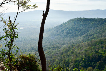 Loei Province Thailand Phu Kradueng National Park. Is one of the attractions of the most famous of...