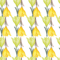 Scrapbook seamless isolated pattern with green and yellow crocus flowers shapes. White background.