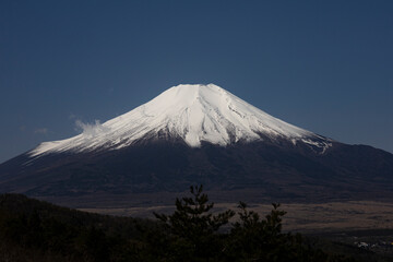 Fototapeta premium 忍野村から見た富士山