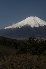 Fototapeta premium 忍野村から見た富士山